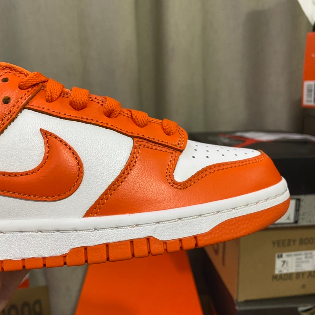 Nike Dunk Syracuse