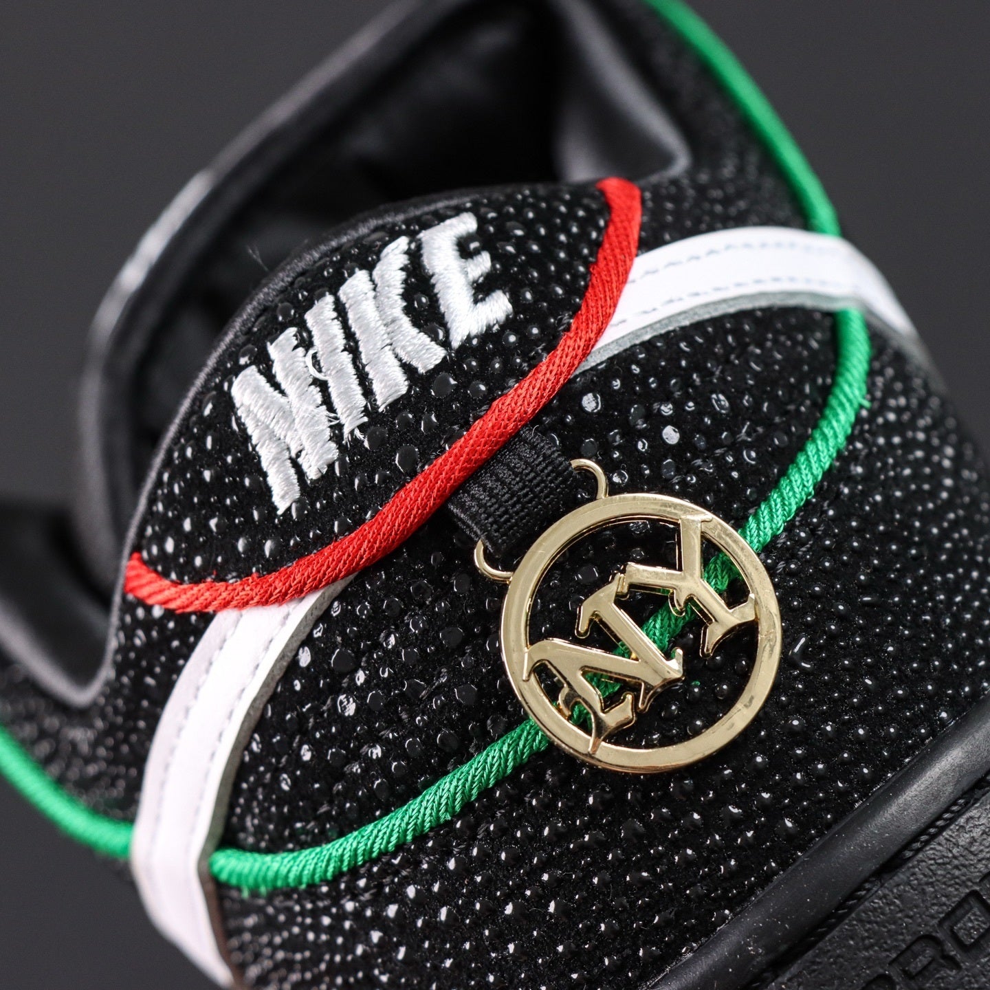 Nike SB Dunk Bronx Skate Girls