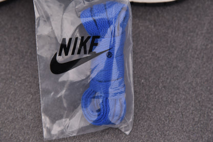 Nike SB Dunk Jackie Robinson