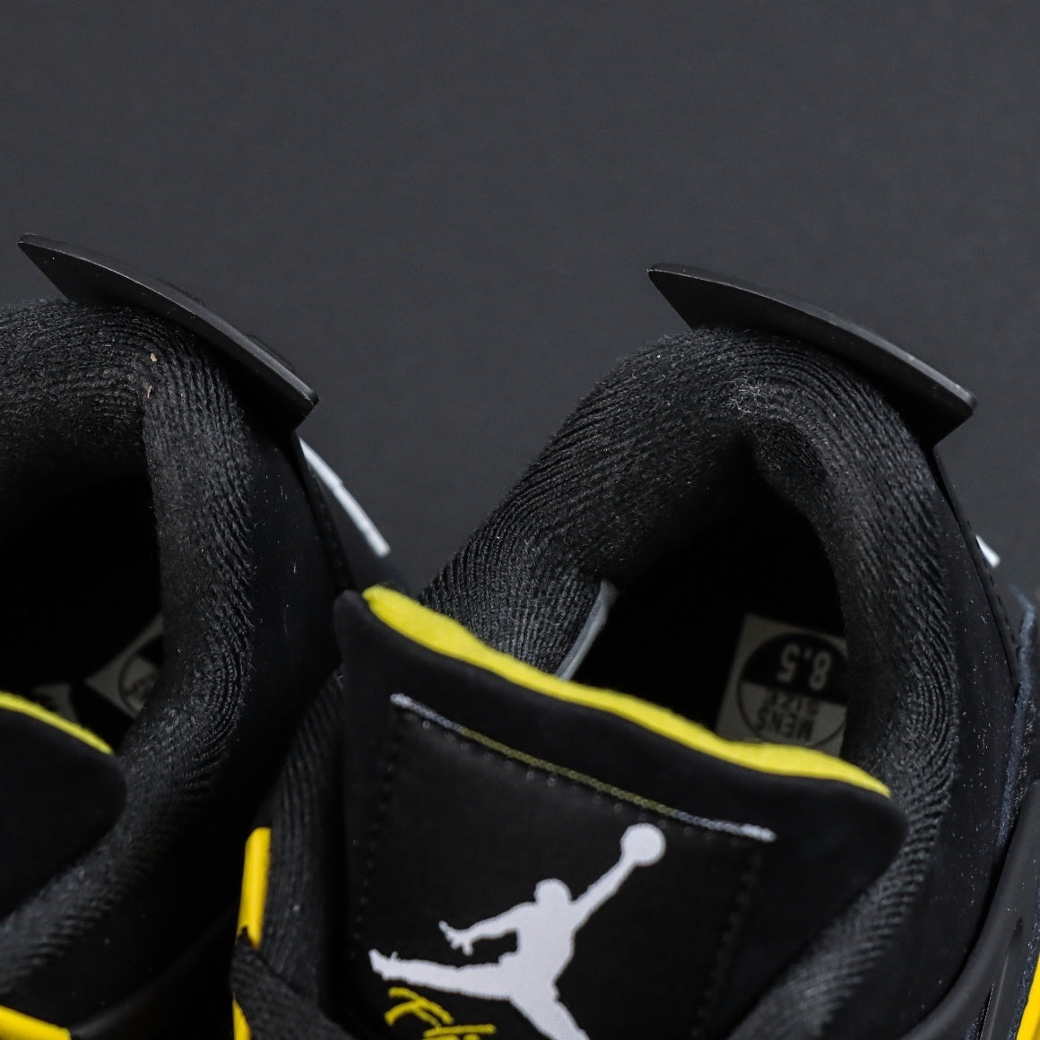 Air Jordan 4 Thunder [2023]